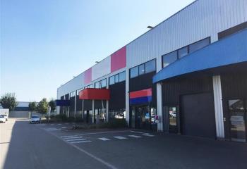 Location activité/entrepôt Souffelweyersheim (67460) - 360 m² à Souffelweyersheim - 67460