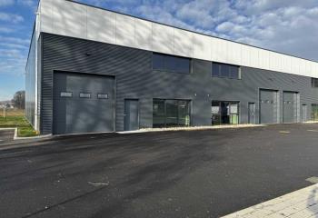 Location activité/entrepôt Souffelweyersheim (67460) - 781 m²