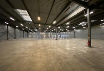 Location activité/entrepôt Strasbourg (67100) - 2995 m² à Strasbourg - 67000
