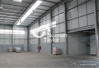 Location activité/entrepôt Teyran (34820) - 1400 m² à Teyran - 34820