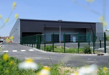 Location activité/entrepôt Toulouse (31200) - 1707 m²