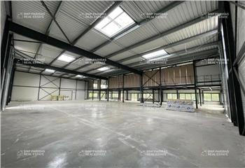 Location activité/entrepôt Tourcoing (59200) - 8866 m² à Tourcoing - 59200