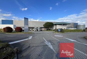 Location activité/entrepôt Tournefeuille (31170) - 11511 m² à Tournefeuille - 31170