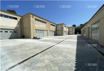 Location activité/entrepôt Valbonne (06560) - 7751 m² à Valbonne - 06560