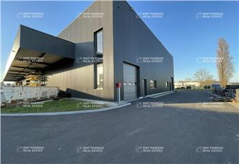 Location activité/entrepôt Vendenheim (67550) - 540 m²