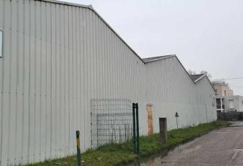 Location activité/entrepôt Villenave-d'Ornon (33140) - 1135 m² à Villenave-d'Ornon - 33140