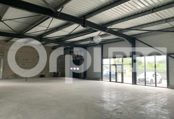Location activité/entrepôt Villenave-d'Ornon (33140) - 342 m² à Villenave-d'Ornon - 33140
