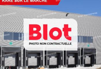 Activité/Entrepôt à vendre Bono (56400) - 300 m²