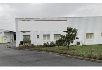 Activité/Entrepôt à vendre Châtillon-sur-Loire (45360) - 3300 m² à Châtillon-sur-Loire - 45360