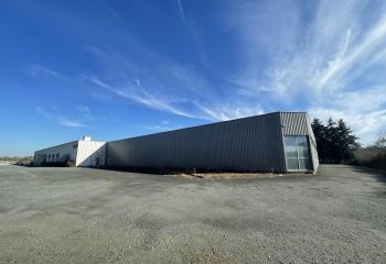 Activité/Entrepôt à vendre Cholet (49300) - 5600 m²