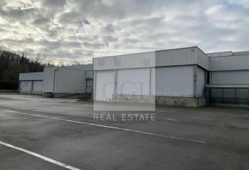 Activité/Entrepôt à vendre Civrieux-d'Azergues (69380) - 8538 m²