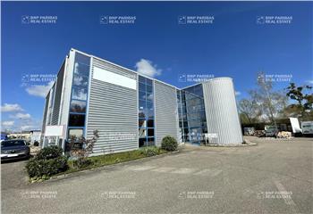 Activité/Entrepôt à vendre Dettwiller (67490) - 1250 m² à Dettwiller - 67490