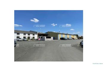 Activité/Entrepôt à vendre Fontcouverte (17100) - 7990 m² à Fontcouverte - 17100