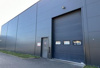 Activité/Entrepôt à vendre Geudertheim (67170) - 1170 m² à Geudertheim - 67170