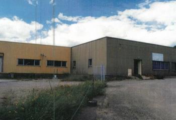 Activité/Entrepôt à vendre Harréville-les-Chanteurs (52150) - 1200 m²