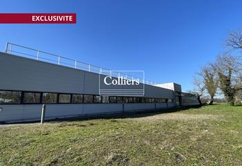 Activité/Entrepôt à vendre Mérignac (33700) - 3170 m²