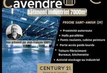 Activité/Entrepôt à vendre Saint-Amour (39160) - 7000 m² à Saint-Amour - 39160