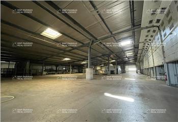 Activité/Entrepôt à vendre Saint-Paterne-Racan (37370) - 8500 m² à Saint-Paterne-Racan - 37370
