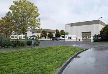 Activité/Entrepôt à vendre Scherwiller (67750) - 750 m² à Scherwiller - 67750