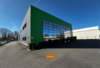 Activité/Entrepôt à vendre Villeneuve-lès-Bouloc (31620) - 960 m² à Villeneuve-lès-Bouloc - 31620
