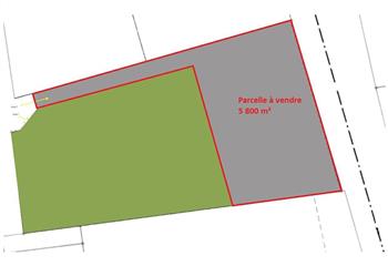 Terrain à vendre Charentilly (37390) - 5800 m² à Charentilly - 37390