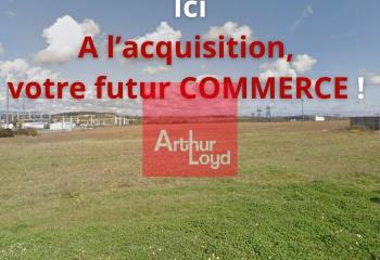 Terrain à vendre Mareuil-lès-Meaux (77100) - 6943 m²