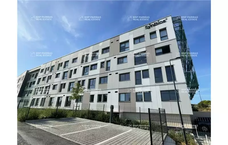 Location de bureau de 155 m² à Montpellier - 34000