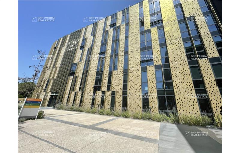 Location de bureau de 458 m² à Montpellier - 34000 photo - 1