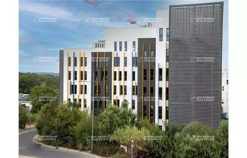 Location de bureau de 2073 m² à Montpellier - 34000
