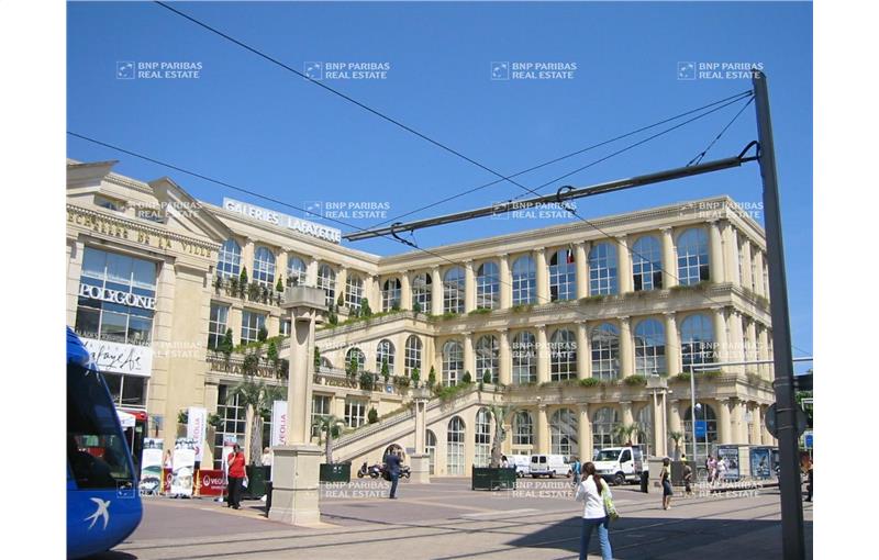 Location de bureau de 599 m² à Montpellier - 34000 photo - 1