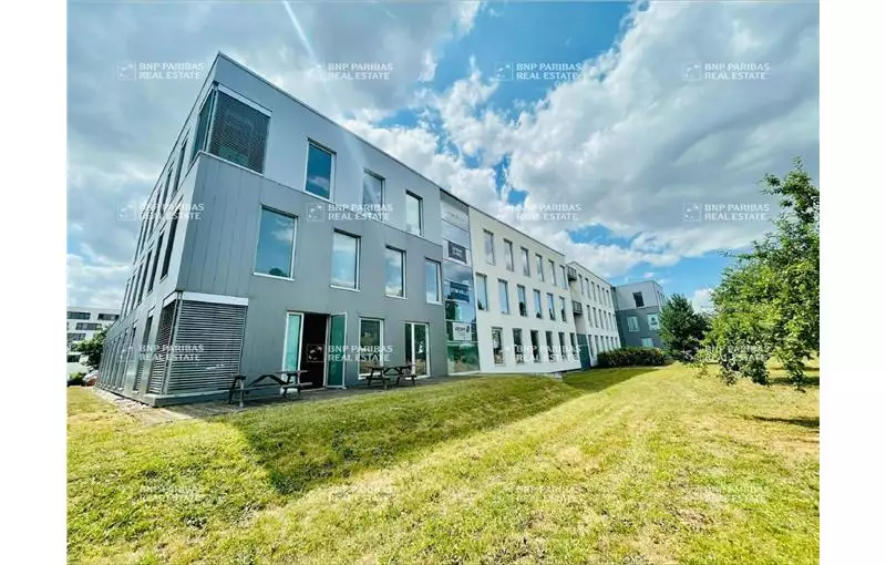 Location de bureau de 614 m² à Schiltigheim - 67300