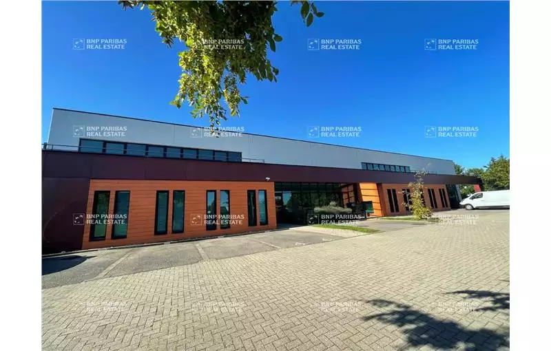 Location de bureau de 699 m² à Schiltigheim - 67300