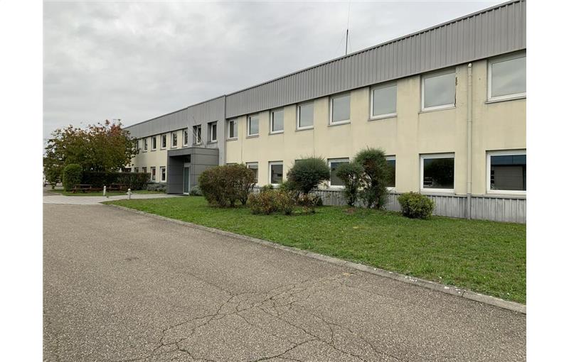 Location de bureau de 1 000 m² à Strasbourg - 67000 photo - 1