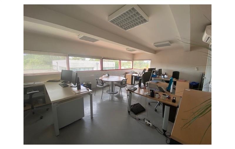 Location de bureau de 246 m² à Toulouse - 31000 photo - 1