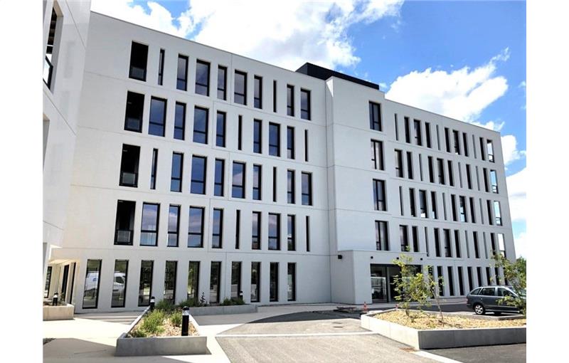 Location de bureau de 253 m² à Toulouse - 31000 photo - 1