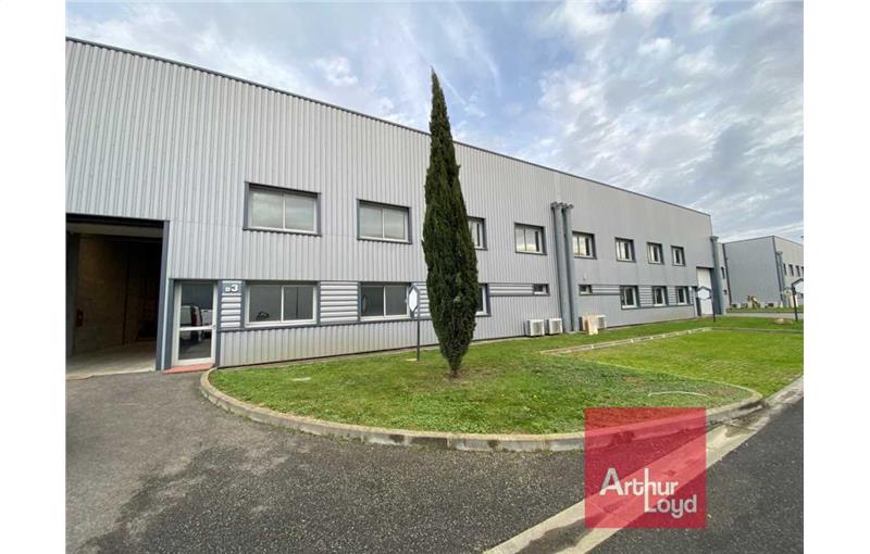 Location de bureau de 175 m² à Toulouse - 31000 photo - 1