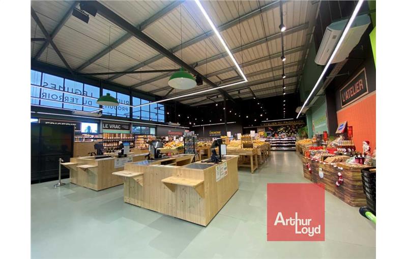 Location de local commercial de 450 m² à Fenouillet - 31150 photo - 1