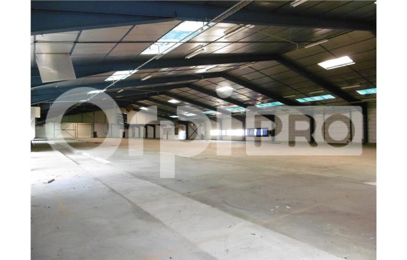 Location d'entrepôt de 3 000 m² à Albias - 82350 photo - 1