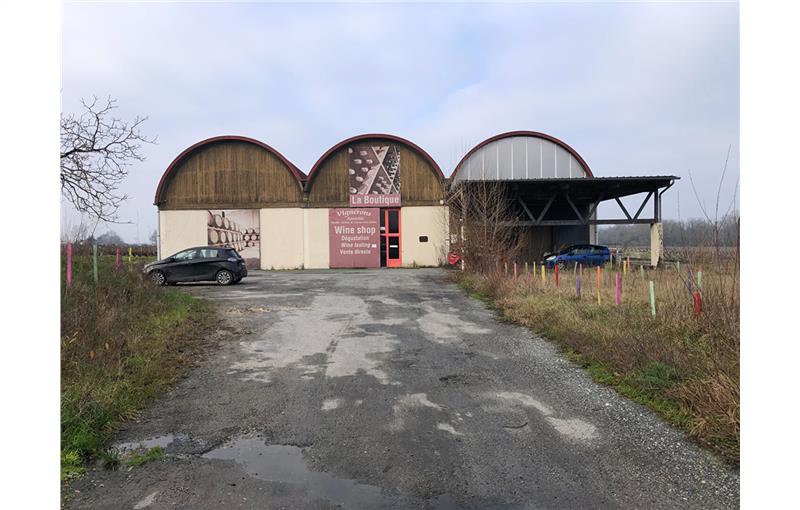 Location d'entrepôt de 1 600 m² à Cussac-Fort-Médoc - 33460 photo - 1