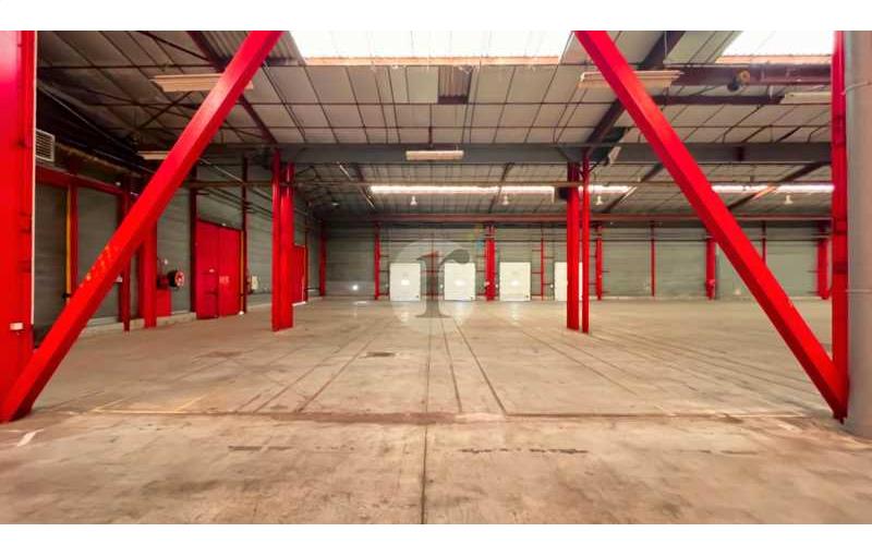 Location d'entrepôt de 10 159 m² à Douai - 59500 photo - 1