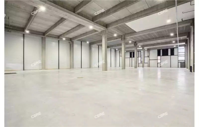 Location d'entrepôt de 4569 m² à Élancourt - 78990