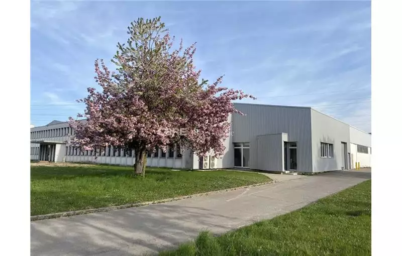 Location d'entrepôt de 3560 m² à Geispolsheim - 67118