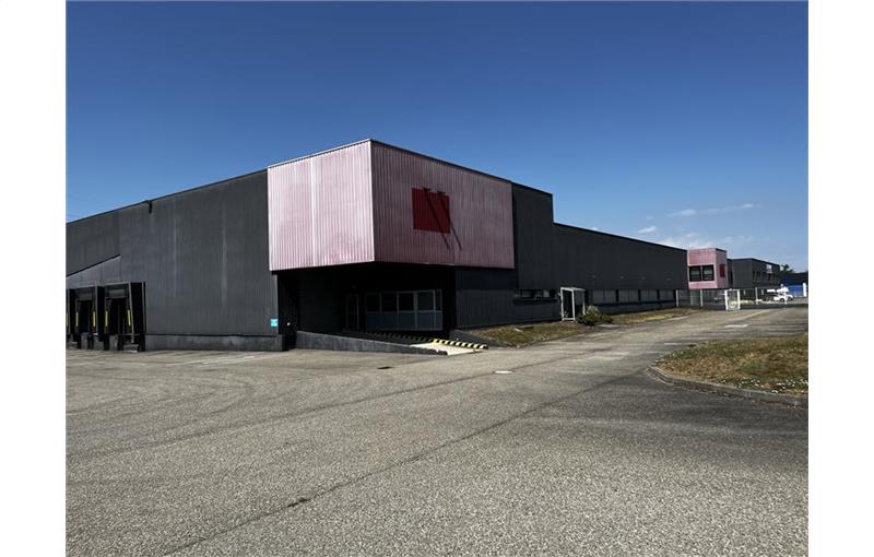 Location d'entrepôt de 7 146 m² à Illkirch-Graffenstaden - 67400 photo - 1