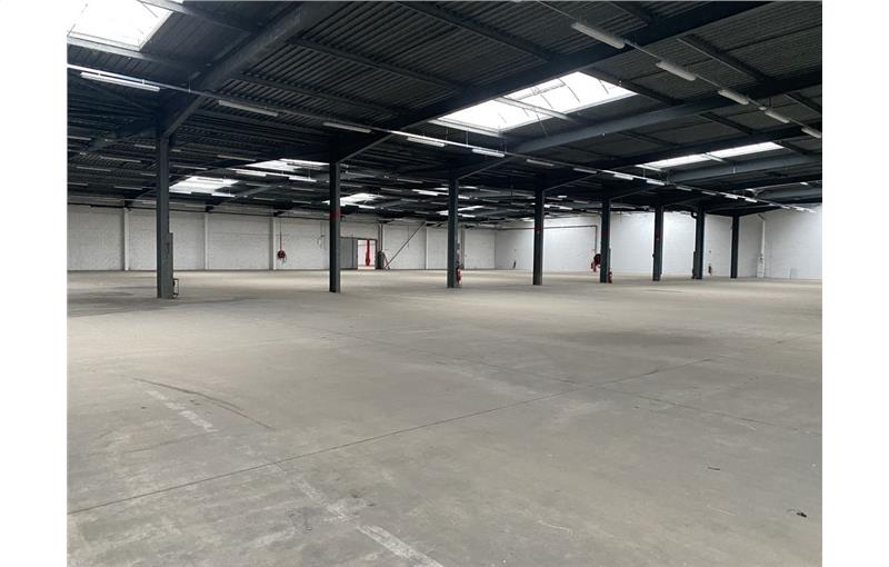 Location d'entrepôt de 6 764 m² à Illkirch-Graffenstaden - 67400 photo - 1