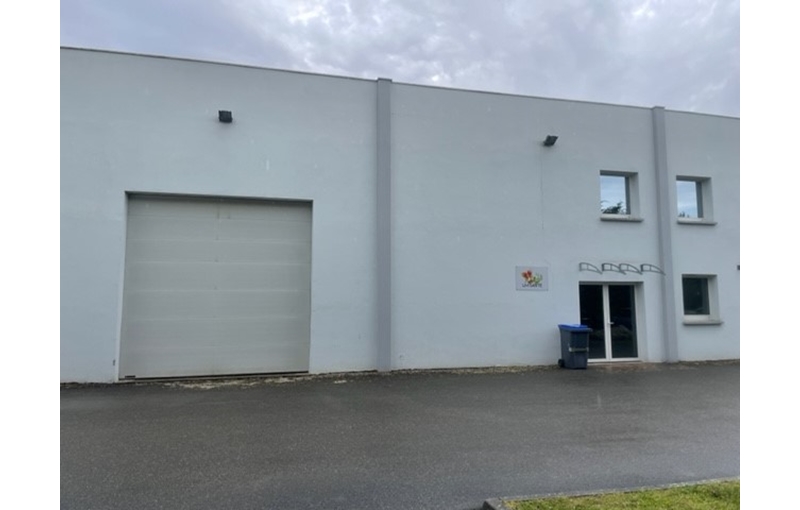 Location d'entrepôt de 337 m² à La Wantzenau - 67610 photo - 1