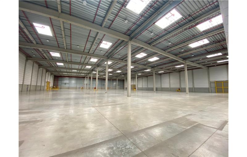 Location d'entrepôt de 21 868 m² à Le Plessis-Pâté - 91220 photo - 1