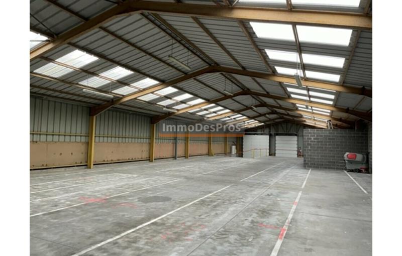 Location d'entrepôt de 565 m² à Lesquin - 59810 photo - 1