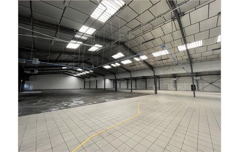 Location d'entrepôt de 3 500 m² à Montauban - 82000 plan - 1