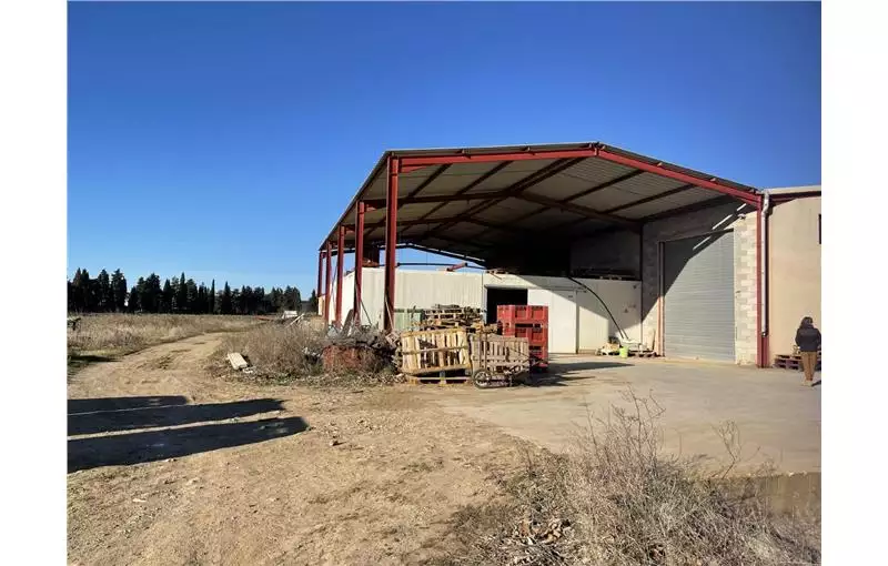 Location d'entrepôt de 240 m² à Montpellier - 34000
