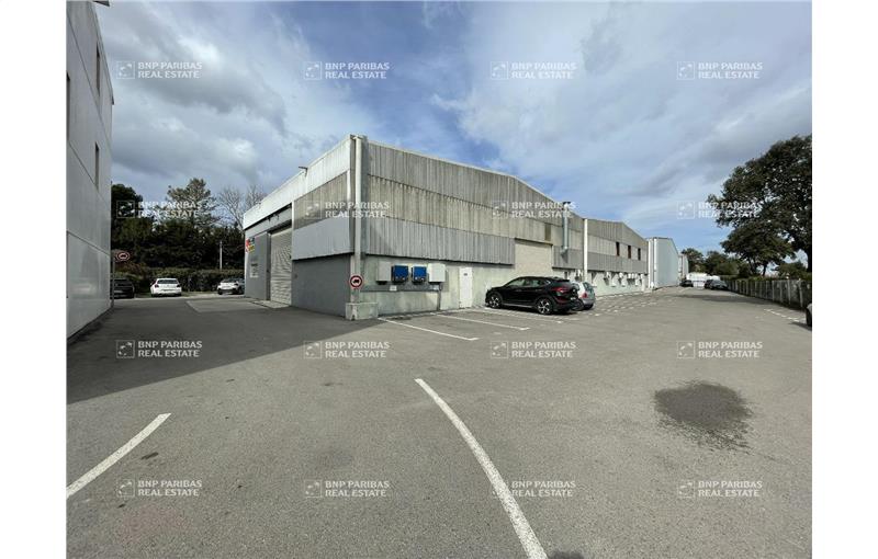 Location d'entrepôt de 710 m² à Mudaison - 34130 photo - 1